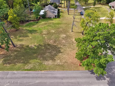 Mescalero Way, Madison, MS 39110 photo 14