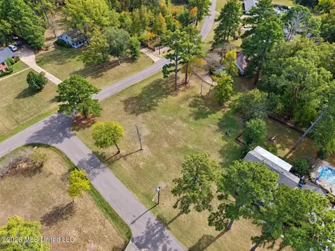Mescalero Way, Madison, MS 39110 photo 12