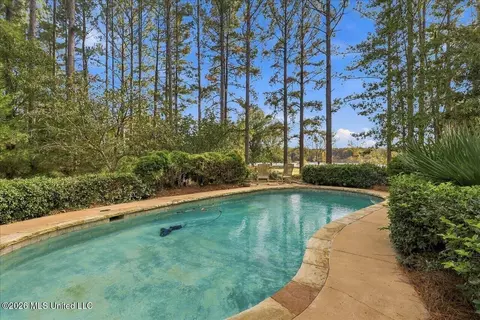 Exterior - 195 Eden Ln, Madison, MS 39110 photo 12 of 17