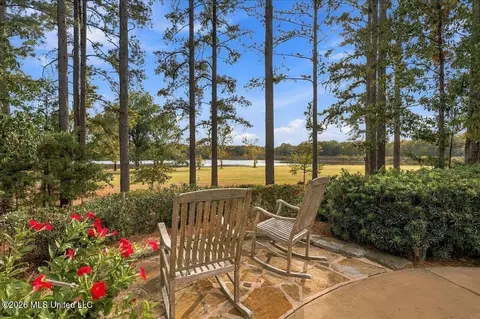 Exterior - 195 Eden Ln, Madison, MS 39110 photo 14 of 17