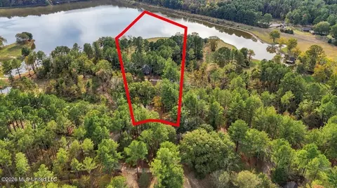 View/Area - 195 Eden Ln, Madison, MS 39110 photo 6 of 9
