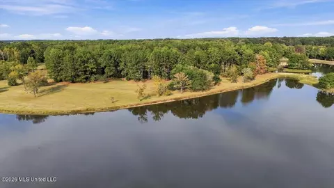 View/Area - 195 Eden Ln, Madison, MS 39110 photo 3 of 9