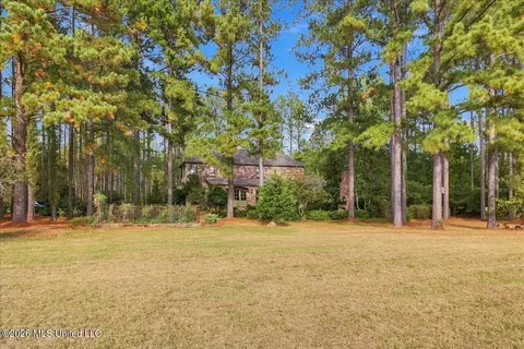 Exterior - 195 Eden Ln, Madison, MS 39110 photo 17 of 17