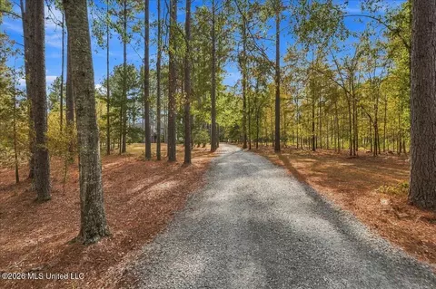 Entry Way - 195 Eden Ln, Madison, MS 39110 photo 1 of 5