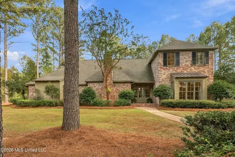 Exterior - 195 Eden Ln, Madison, MS 39110 photo 5 of 17