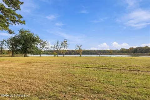 View/Area - 195 Eden Ln, Madison, MS 39110 photo 4 of 9