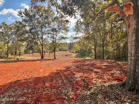 8 75ac Mann Ln, Lucedale, MS 39452 photo 16