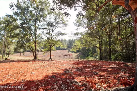 8 75ac Mann Ln, Lucedale, MS 39452 photo 13