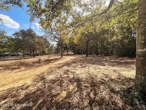 8 75ac Mann Ln, Lucedale, MS 39452 photo 3