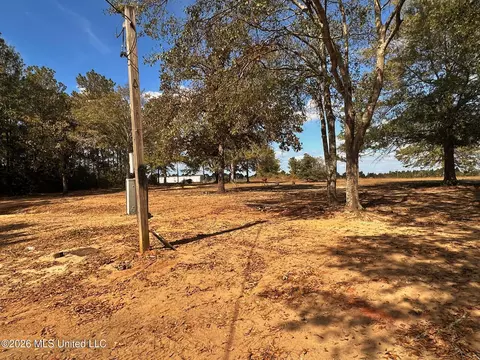 8 75ac Mann Ln, Lucedale, MS 39452 photo 6