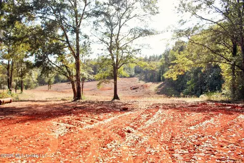 8 75ac Mann Ln, Lucedale, MS 39452 photo 12