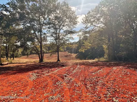 8 75ac Mann Ln, Lucedale, MS 39452 photo 15