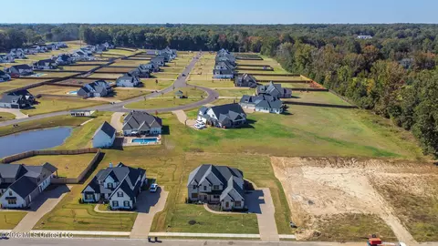 View/Area - 295 Camp Xing, Hernando, MS 38632 photo 8 of 8