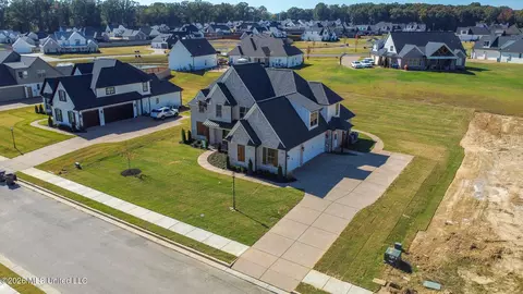 View/Area - 295 Camp Xing, Hernando, MS 38632 photo 2 of 8
