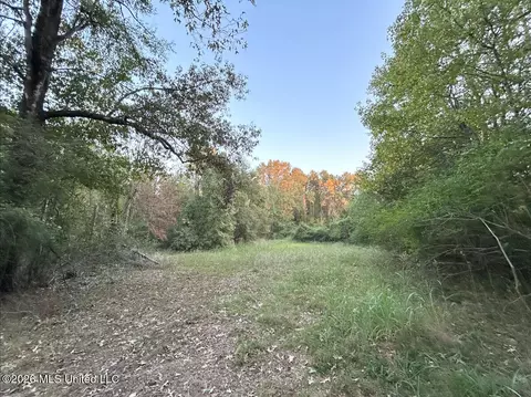 Mississippi 33, Gloster, MS 39638 photo 37