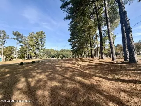 Exterior - 1011 Pinecrest Dr, Mccomb, MS 39648 photo 3 of 4
