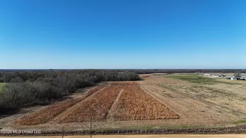 Endris Road, Canton, MS 39046 photo 2