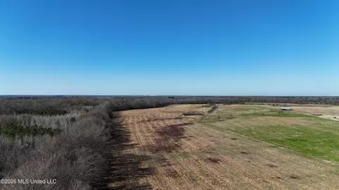 Endris Road, Canton, MS 39046 photo 14