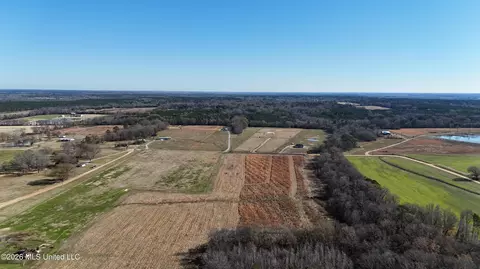 Endris Road, Canton, MS 39046 photo 11