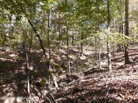 1 Perry Creek Rd, Satartia, MS 39162 photo 13
