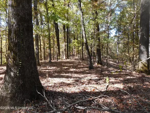 1 Perry Creek Rd, Satartia, MS 39162 photo 10
