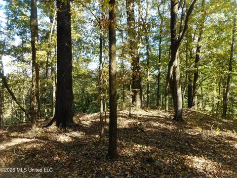 1 Perry Creek Rd, Satartia, MS 39162 photo 6