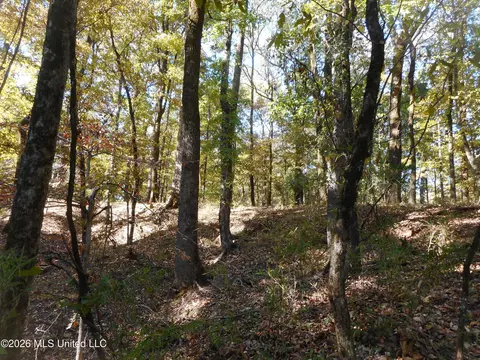 1 Perry Creek Rd, Satartia, MS 39162 photo 5