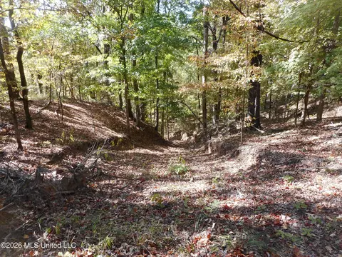 1 Perry Creek Rd, Satartia, MS 39162 photo 18