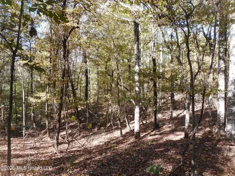 1 Perry Creek Rd, Satartia, MS 39162 photo 15