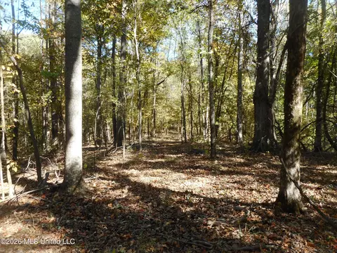 1 Perry Creek Rd, Satartia, MS 39162 photo 11