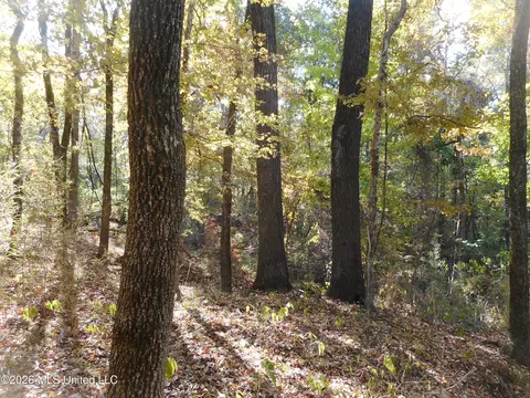 1 Perry Creek Rd, Satartia, MS 39162 photo 7