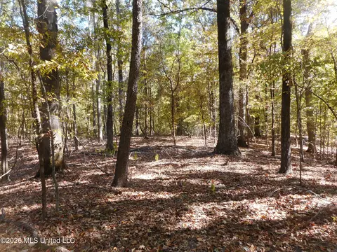 1 Perry Creek Rd, Satartia, MS 39162 photo 8