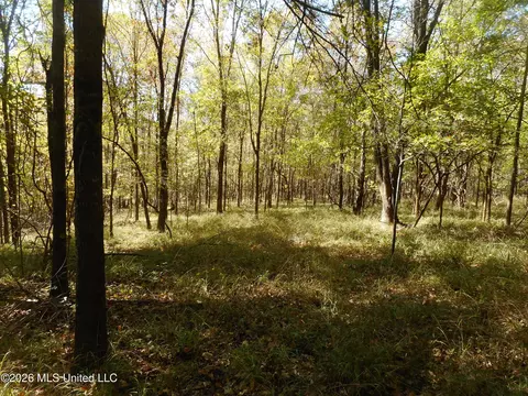 1 Perry Creek Rd, Satartia, MS 39162 photo 23