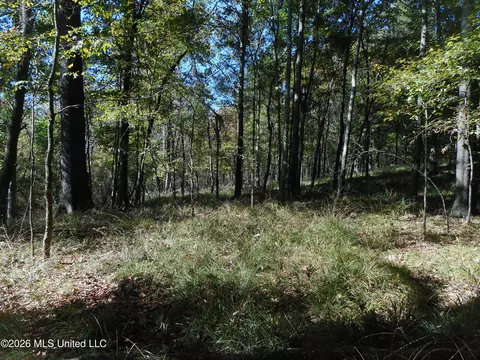 1 Perry Creek Rd, Satartia, MS 39162 photo 21