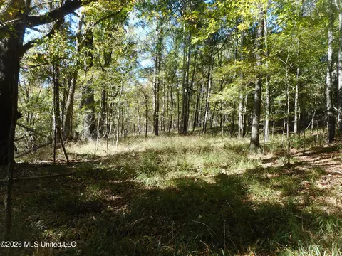 1 Perry Creek Rd, Satartia, MS 39162 photo 22