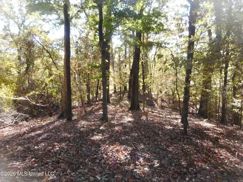 1 Perry Creek Rd, Satartia, MS 39162 photo 17