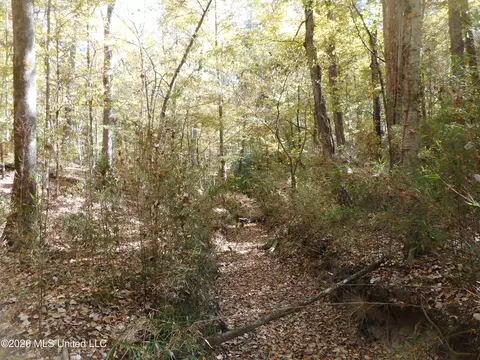1 Perry Creek Rd, Satartia, MS 39162 photo 26