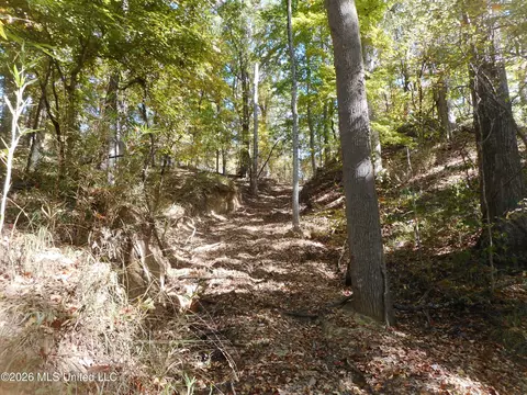 1 Perry Creek Rd, Satartia, MS 39162 photo 19