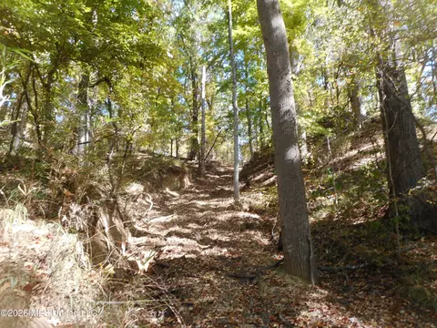 1 Perry Creek Rd, Satartia, MS 39162 photo 20