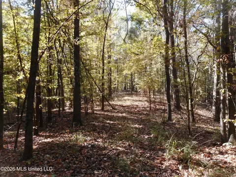 1 Perry Creek Rd, Satartia, MS 39162 photo 14