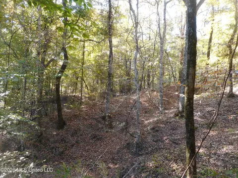 1 Perry Creek Rd, Satartia, MS 39162 photo 3