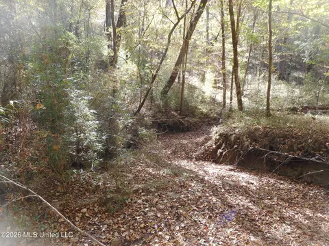1 Perry Creek Rd, Satartia, MS 39162 photo 25
