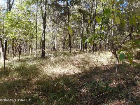 1 Perry Creek Rd, Satartia, MS 39162 photo 24