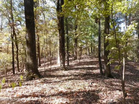 1 Perry Creek Rd, Satartia, MS 39162 photo 9