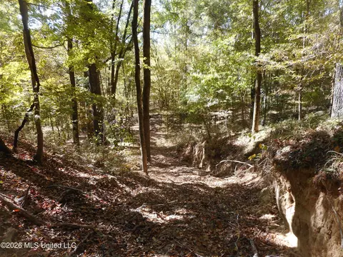 1 Perry Creek Rd, Satartia, MS 39162 photo 27