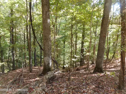 1 Perry Creek Rd, Satartia, MS 39162 photo 16