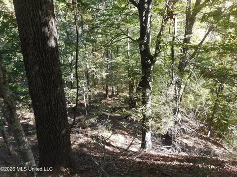 1 Perry Creek Rd, Satartia, MS 39162 photo 4