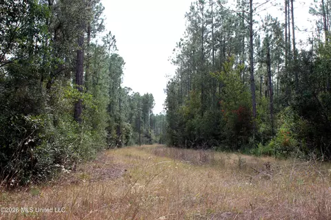 000 Shattles Rd, Moss Point, MS 39562 photo 3