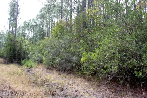 000 Shattles Rd, Moss Point, MS 39562 photo 4