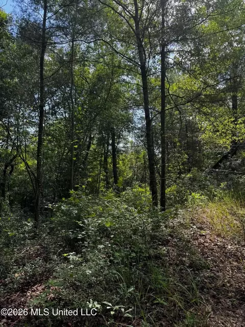 Riverwalk Dr, Vancleave, MS 39565 photo 7
